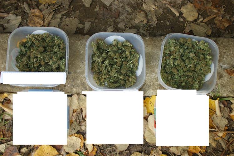 Slika /PU_KK/Vijesti/2020/11/oduzeta.droga.JPG