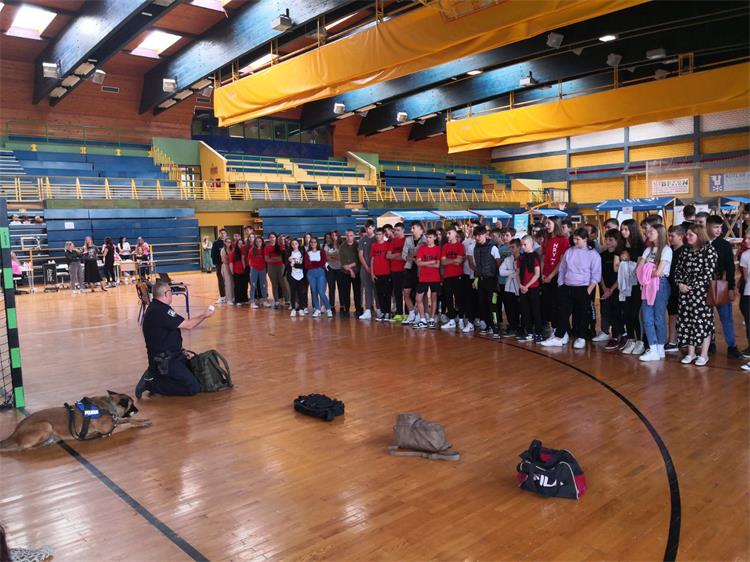 Slika /PU_KK/Vijesti/2024/5/IMG-1f161c22f84222c8eda8bcc791f82a14-V.jpg